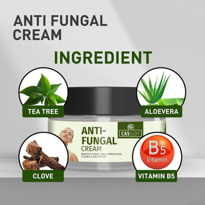 Aloe Vera Herbal Skin Cream – Pack of 2